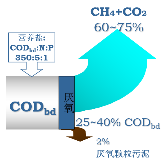 厌氧处理技术