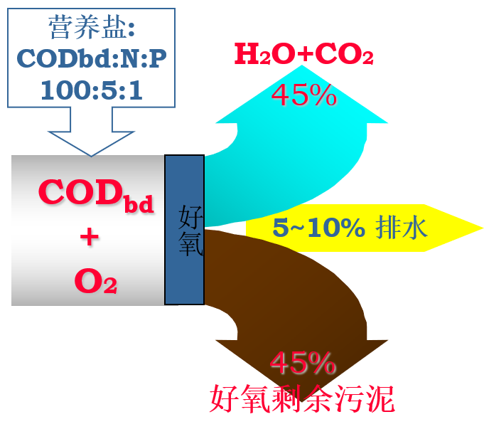 好氧处理技术