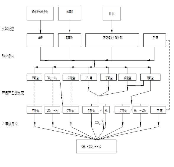 厌氧讲解过程.png