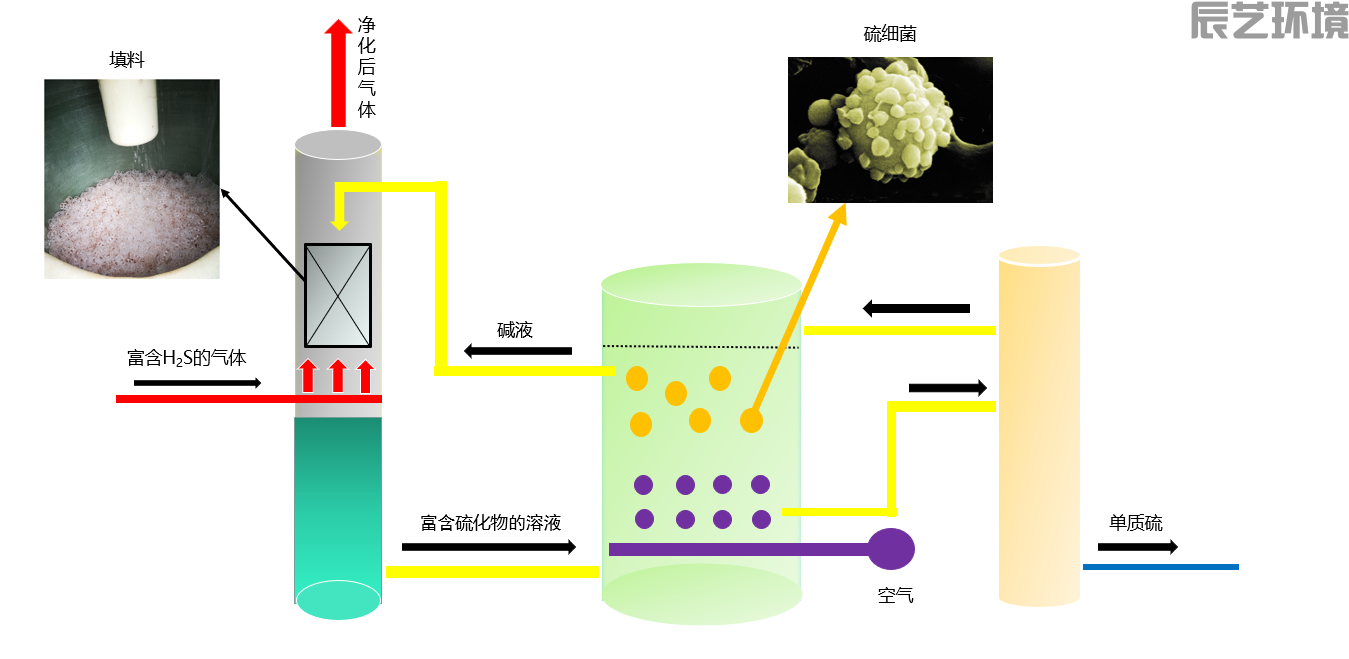 沼气生物脱硫系统图.png